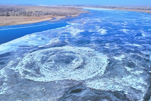 Ais Biru di Sungai Kuning