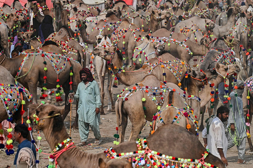 (Lahore Pakistan)