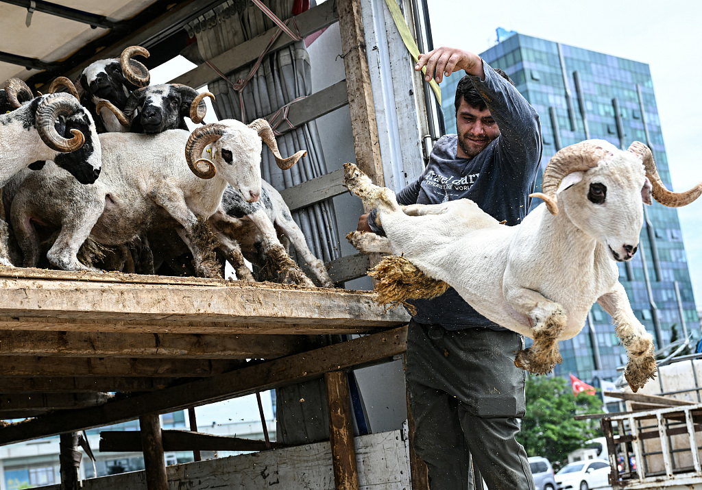 (Istanbul Turkiye)