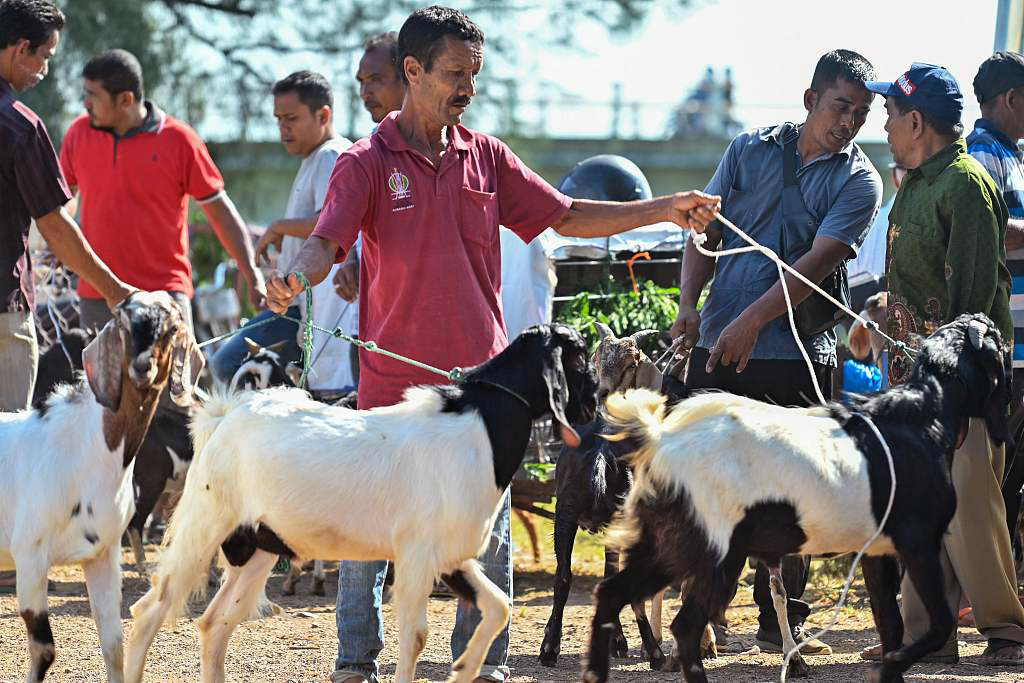 (Banda Aceh Indonesia)