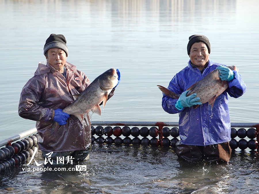 Aktiviti Tangkap Ikan Musim Sejuk Bawa Keseronokan di Jiangsu